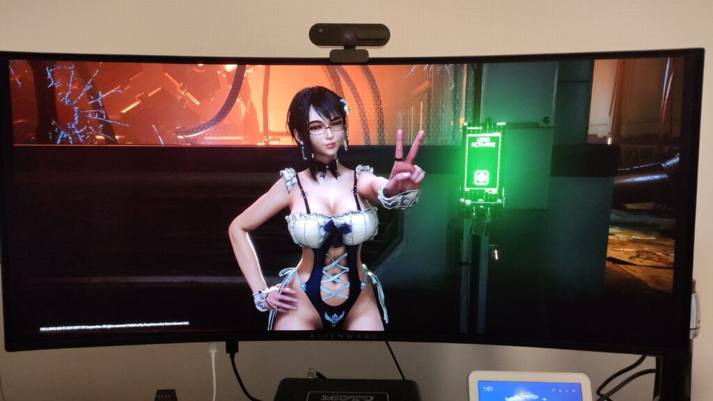 ステラーブレイドの写真
